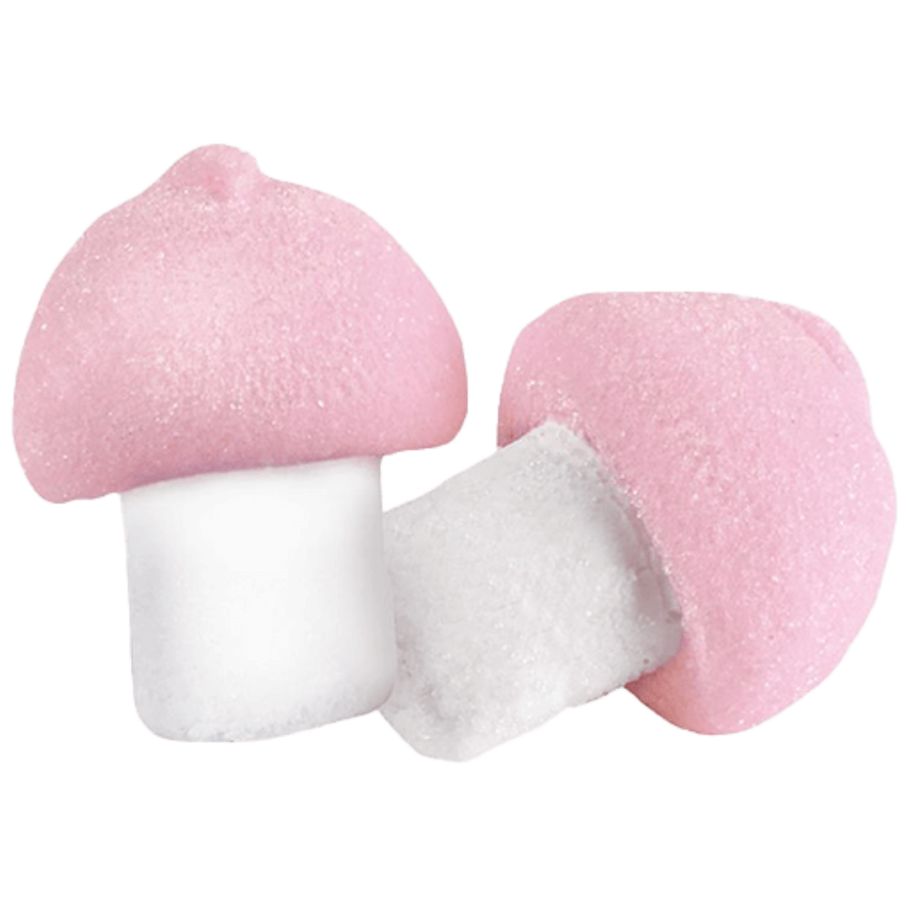 Big Soft Marshmallow Mushrooms Wholesale Bulk Box By Bulgari