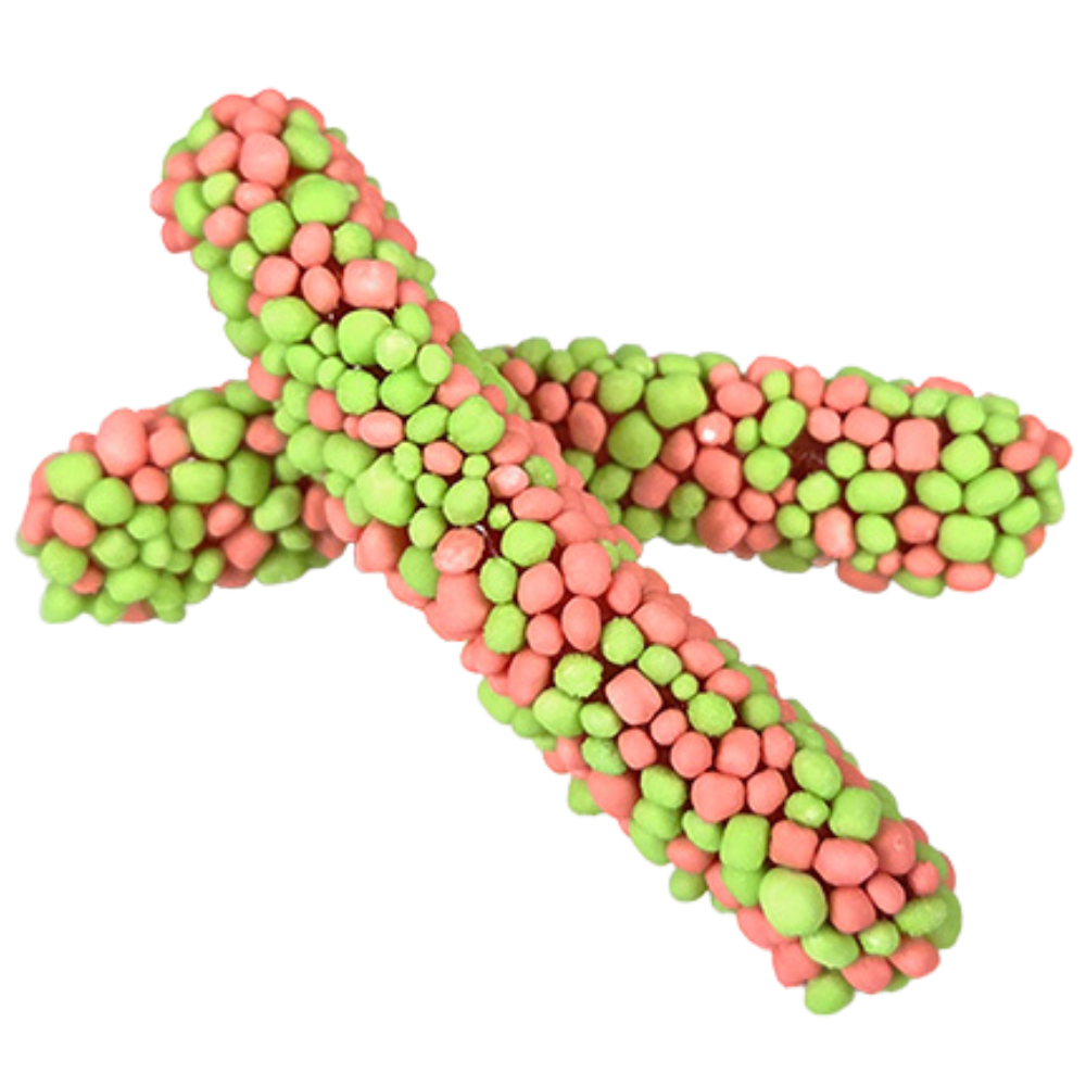 Geeks Worms Green And Pink Wholesale Bulk Box By Sweeds Candy