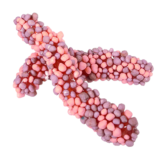 Geeks Worms Purple And Pink Wholesale Bulk Box By Sweeds Candy