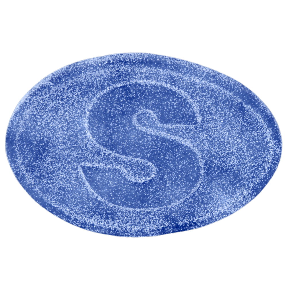 S-Mark Oval Vegan Blue Raspberry Pick And Mix Bulk Box By Swedish Candy People