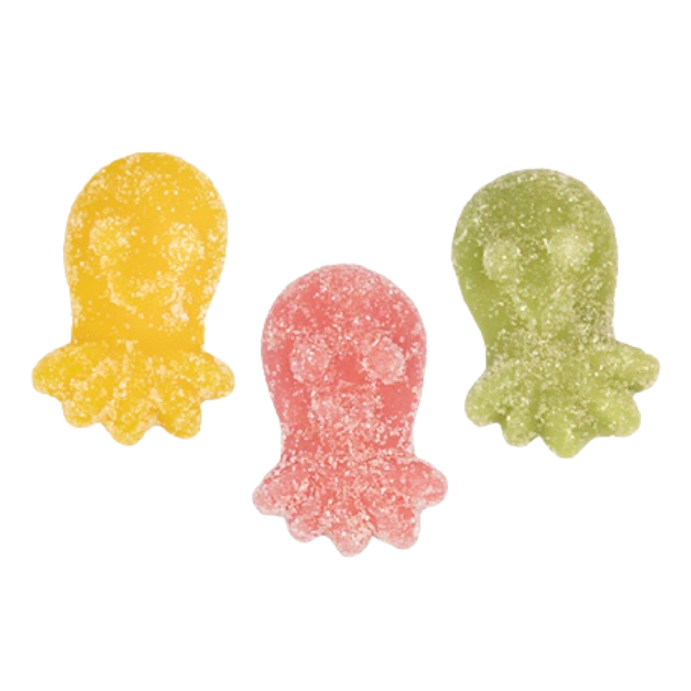 Vegan Sour Fruity Octopuses Wholesale Bulk Box By Vidal